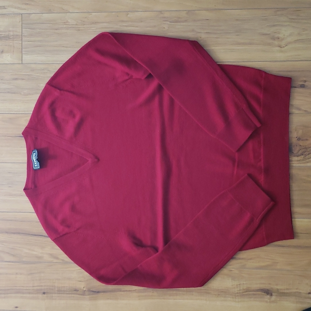 Express Extra Fine Merino Wool V-Neck Sweater